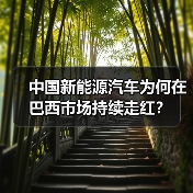 中国新能源汽车为何在巴西市场持续走红? 中国新能源汽车为何在巴西市场持续走红?