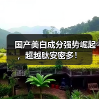 国产美白成分强势崛起，超越肽安密多！