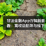 非法金融App诈骗新套路：高收益陷阱与线下交付风险警示
