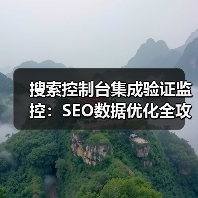 搜索控制台集成验证监控：SEO数据优化全攻略