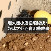老手艺如何借力抖音逆袭?烟火小店的破圈密码-启闻网 老手艺如何借力抖音逆袭?烟火小店的破圈密码-启闻网