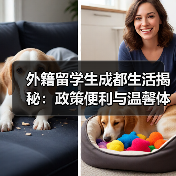 外籍留学生成都生活揭秘:政策便利与温馨体验 外籍留学生成都生活揭秘:政策便利与温馨体验