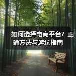 如何选择电商平台?正确方法与避坑指南 如何选择电商平台?正确方法与避坑指南