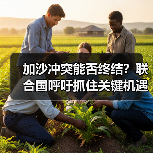 加沙冲突能否终结？联合国呼吁抓住关键机遇
