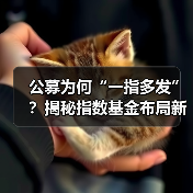 公募为何“一指多发”?揭秘指数基金布局新策略 公募为何“一指多发”?揭秘指数基金布局新策略
