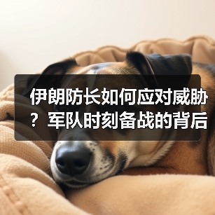 伊朗防长如何应对威胁?军队时刻备战的背后真相 伊朗防长如何应对威胁?军队时刻备战的背后真相