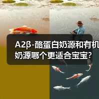 A2β-酪蛋白奶源和有机奶源哪个更适合宝宝?科学对比解析 A2β-酪蛋白奶源和有机奶源哪个更适合宝宝?科学对比解析