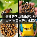 五一假期自驾出行占比超8成，交通高峰需警惕-启闻网