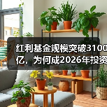 红利基金规模突破3100亿,为何成2026年投资新宠? 红利基金规模突破3100亿,为何成2026年投资新宠?