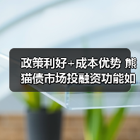 政策利好+成本优势 熊猫债市场投融资功能如何持续升级? 政策利好+成本优势 熊猫债市场投融资功能如何持续升级?