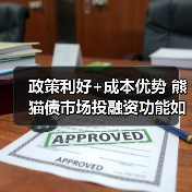 政策利好+成本优势 熊猫债市场投融资功能如何持续升级? 政策利好+成本优势 熊猫债市场投融资功能如何持续升级?