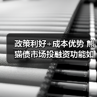 政策利好+成本优势 熊猫债市场投融资功能如何持续升级? 政策利好+成本优势 熊猫债市场投融资功能如何持续升级?