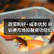 政策利好+成本优势 熊猫债市场投融资功能如何持续升级? 政策利好+成本优势 熊猫债市场投融资功能如何持续升级?