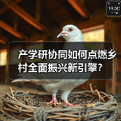 产学研协同如何点燃乡村全面振兴新引擎？