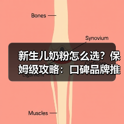 新生儿奶粉怎么选?保姆级攻略:口碑品牌推荐对比 新生儿奶粉怎么选?保姆级攻略:口碑品牌推荐对比