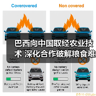 巴西向中国取经农业技术 深化合作破解粮食难题