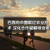 巴西向中国取经农业技术 深化合作破解粮食难题
