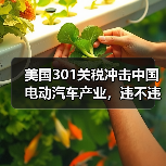 美国301关税冲击中国电动汽车产业，违不违WTO规则？
