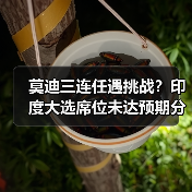 莫迪三连任遇挑战？印度大选席位未达预期分析