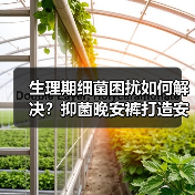 生理期细菌困扰如何解决?抑菌晚安裤打造安心舒睡一整晚 生理期细菌困扰如何解决?抑菌晚安裤打造安心舒睡一整晚
