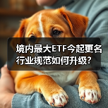 境内最大ETF今起更名 行业规范如何升级？