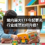 境内最大ETF今起更名 行业规范如何升级？