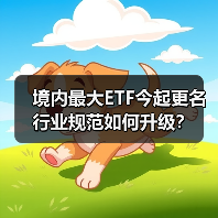 境内最大ETF今起更名 行业规范如何升级？