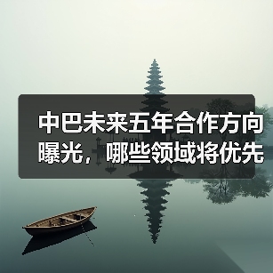中巴未来五年合作方向曝光,哪些领域将优先突破? 中巴未来五年合作方向曝光,哪些领域将优先突破?