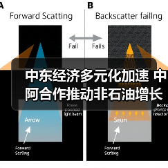 中东经济多元化加速 中阿合作推动非石油增长 中东经济多元化加速 中阿合作推动非石油增长
