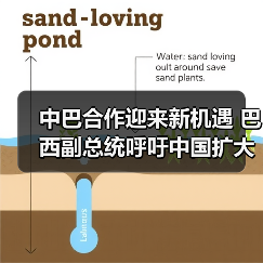 中巴合作迎来新机遇 巴西副总统呼吁中国扩大投资 中巴合作迎来新机遇 巴西副总统呼吁中国扩大投资