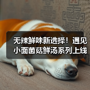 无辣鲜味新选择！遇见小面菌菇鲜汤系列上线，山野风味全场景畅享