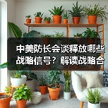 中美防长会谈释放哪些战略信号？解读战略合作与台海局势