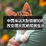 中国商店太阳能板如何改变博茨瓦纳居民生活 中国商店太阳能板如何改变博茨瓦纳居民生活