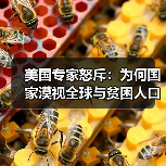 美国专家怒斥：为何国家漠视全球与贫困人口？