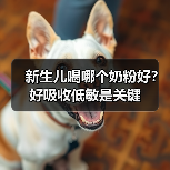 新生儿喝哪个奶粉好?好吸收低敏是关键 新生儿喝哪个奶粉好?好吸收低敏是关键