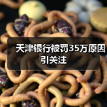 天津银行被罚35万原因引关注