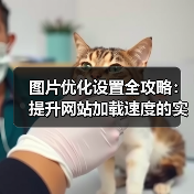 图片优化设置全攻略：提升网站加载速度的实用技巧