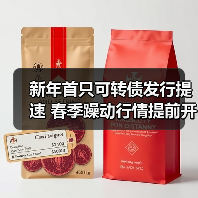 新年首只可转债发行提速 春季躁动行情提前开启