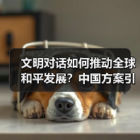 文明对话如何推动全球和平发展？中国方案引关注