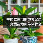 中国舞吉尼斯世界纪录,究竟能为你带来什么? 中国舞吉尼斯世界纪录,究竟能为你带来什么?