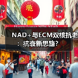 NAD+与ECM双核抗老:抗衰新思路? NAD+与ECM双核抗老:抗衰新思路?