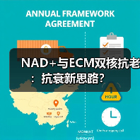 NAD+与ECM双核抗老:抗衰新思路? NAD+与ECM双核抗老:抗衰新思路?