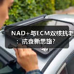 NAD+与ECM双核抗老:抗衰新思路? NAD+与ECM双核抗老:抗衰新思路?