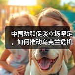 中国劝和促谈立场坚定,如何推动乌克兰危机和平解决? 中国劝和促谈立场坚定,如何推动乌克兰危机和平解决?