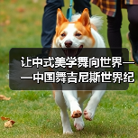 让中式美学舞向世界——中国舞吉尼斯世界纪录挑战 让中式美学舞向世界——中国舞吉尼斯世界纪录挑战