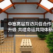 中塞高层互访共促合作升级 共建命运共同体新篇章 中塞高层互访共促合作升级 共建命运共同体新篇章