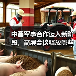 中塞军事合作迈入新阶段,高层会谈释放哪些关键信号? 中塞军事合作迈入新阶段,高层会谈释放哪些关键信号?
