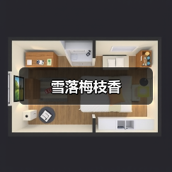 雪落梅枝香 雪落梅枝香
