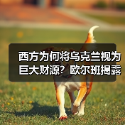 西方为何将乌克兰视为巨大财源?欧尔班揭露战争经济真相 西方为何将乌克兰视为巨大财源?欧尔班揭露战争经济真相