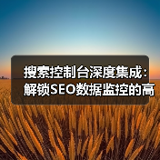 搜索控制台深度集成:解锁SEO数据监控的高效方法 搜索控制台深度集成:解锁SEO数据监控的高效方法